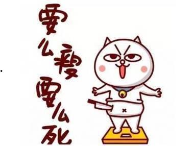 国产动画减肥达人视频,国产动画减肥达人带你轻松瘦身之旅