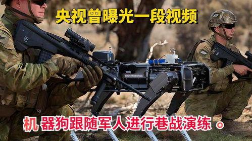 国产巷战机器狗视频,未来战场上的智能利器揭秘