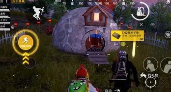 荒废国产精英玩具视频,曾经的辉煌与今日的困境