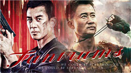 枪战电影视频国产,国产枪战电影中的热血岁月