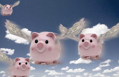 国产猪猪都市视频,国产萌宠的欢乐生活大揭秘